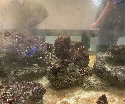 Parque Do Tubarao-Buri必去景点