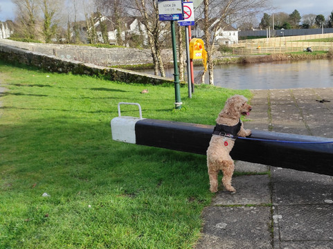 Shackleton Experience Athy-Athy必去景点