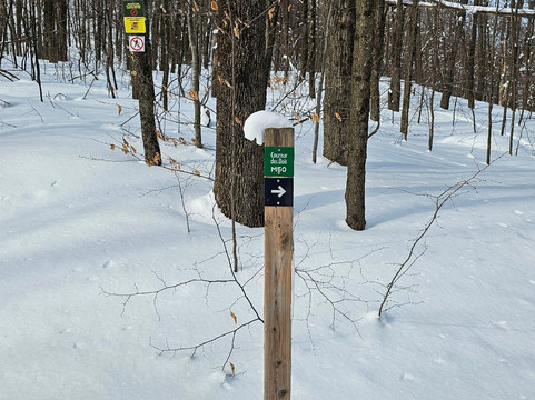 Parc des Sommets de Bromont-Bromont必去景点