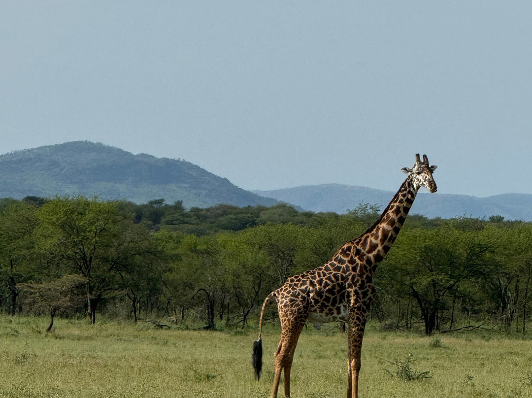 Africa Magic Holidays & Tours-阿鲁沙必去景点