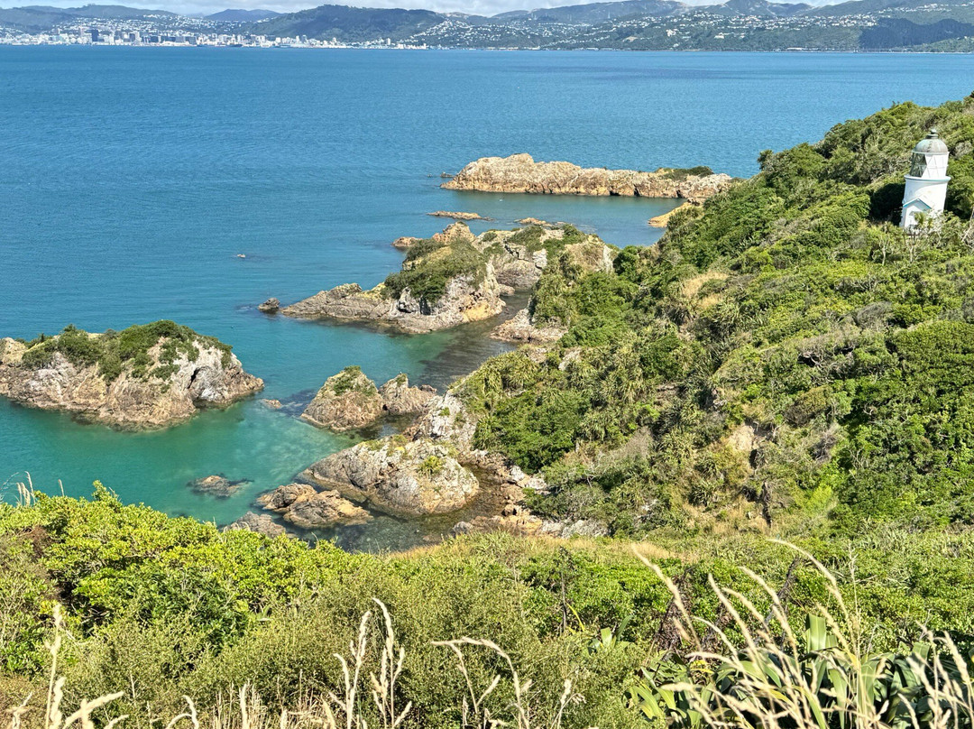 East By West Ferries-惠灵顿必去景点