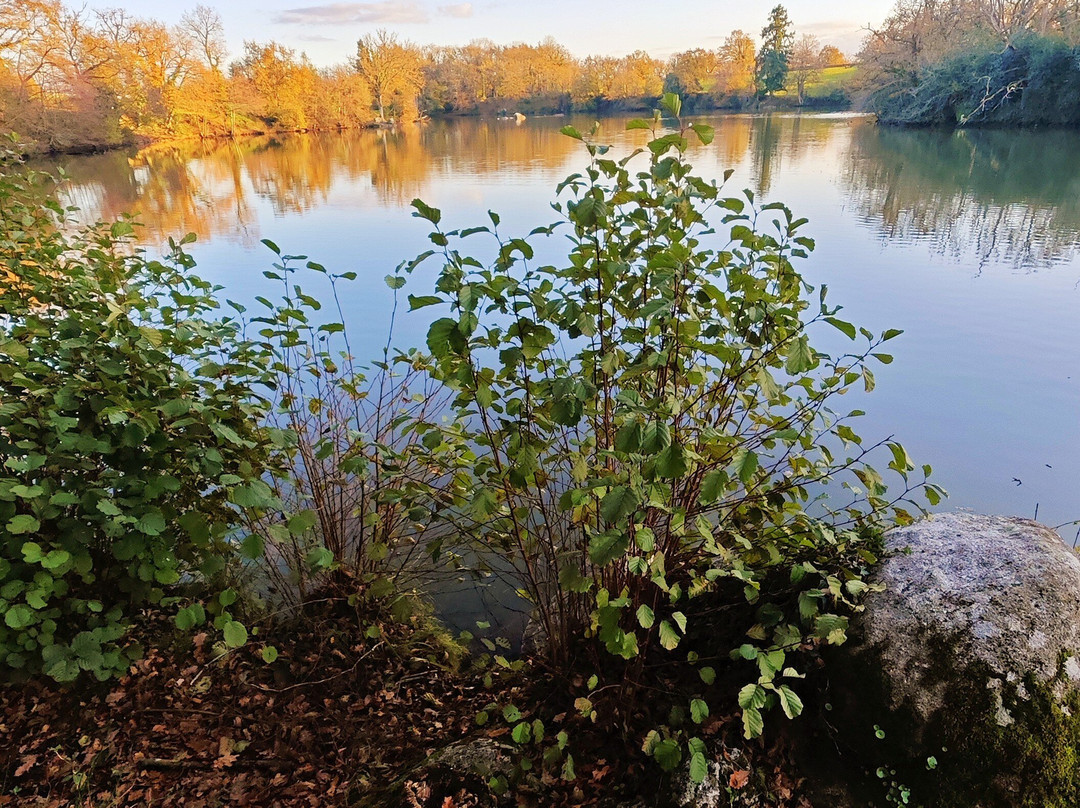 Etang de Bois Pouvreau et son chaos granitique-Menigoute必去景点