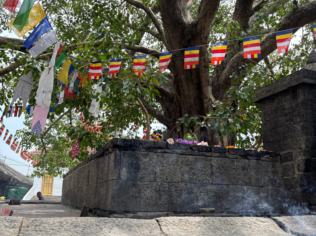 Roshan Lanka Tours-科伦坡必去景点