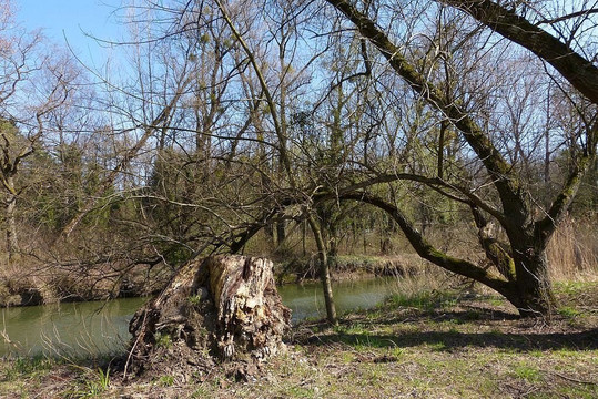 Nature Reserve Eselschwanz-圣马格雷滕必去景点