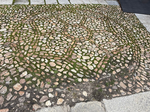 Valencia Private Tours-巴伦西亚必去景点