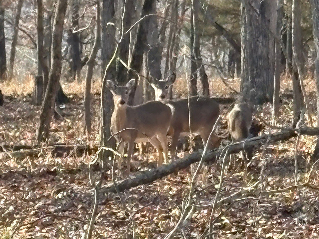 Lake of the Ozarks State Park-Kaiser必去景点