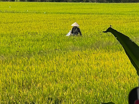 Bassac Mekong Cruises-芹苴必去景点