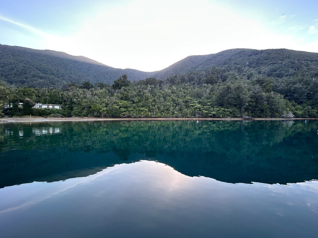 Marlborough Sounds Adventure Company - Day Tours-皮克顿必去景点