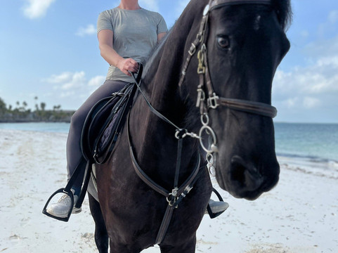 Royal Stable Zanzibar-米查维必去景点