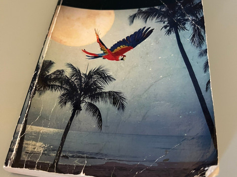 漂流记酒店主图