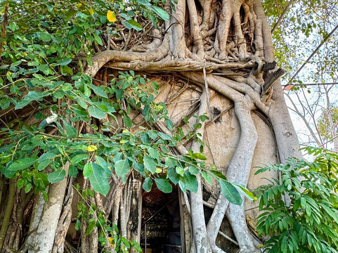 Wat Bang Kung-挽坤弟必去景点