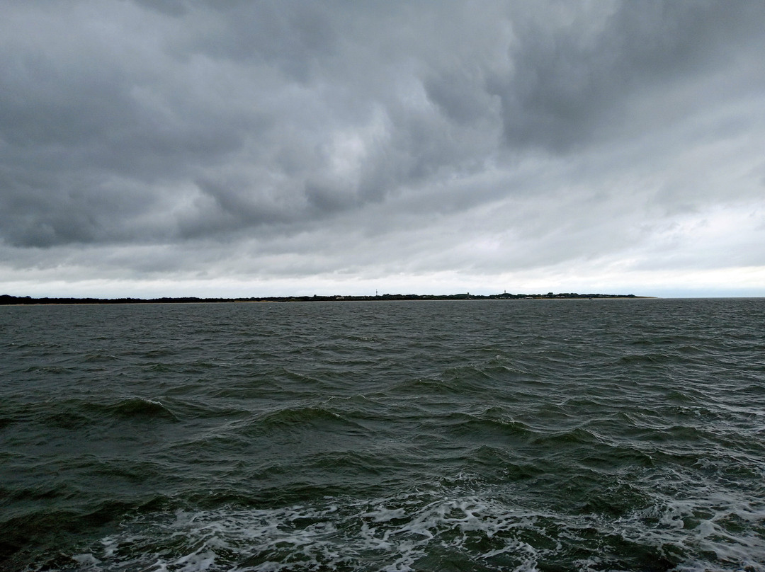 Cape May - Lewes Ferry-刘易斯必去景点