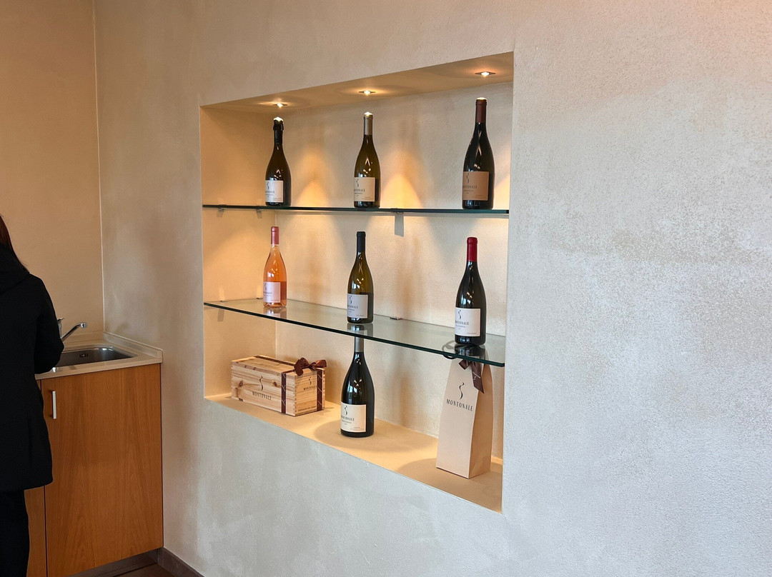 Montonale-代森扎诺-德尔加达必去景点