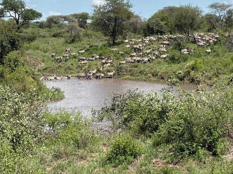 Snow Africa Adventures-阿鲁沙必去景点