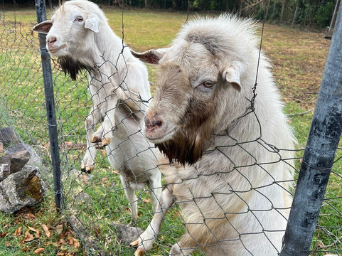 Jungla de Panama Wildlife Refuge-波魁特必去景点