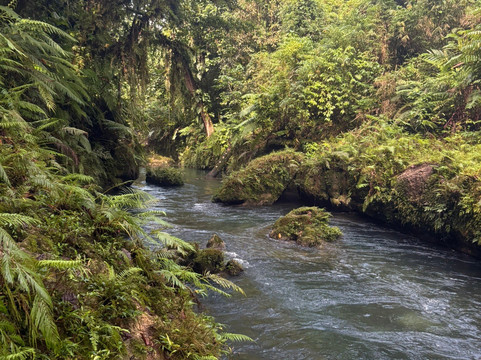 Mount Hope Waterfall-卢甘维尔必去景点
