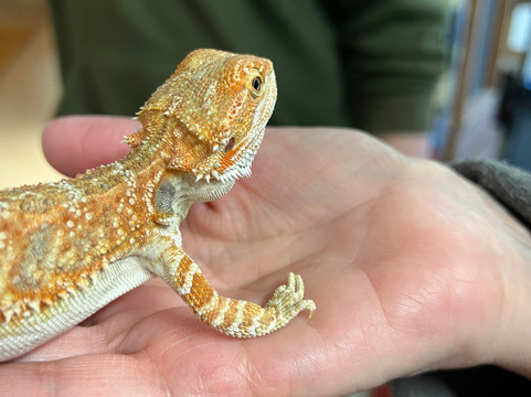 Animal Adventures Family Zoo & Rescue Center-Bolton必去景点