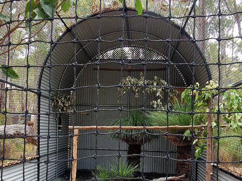 Capes Raptor Centre-玛格丽特河必去景点