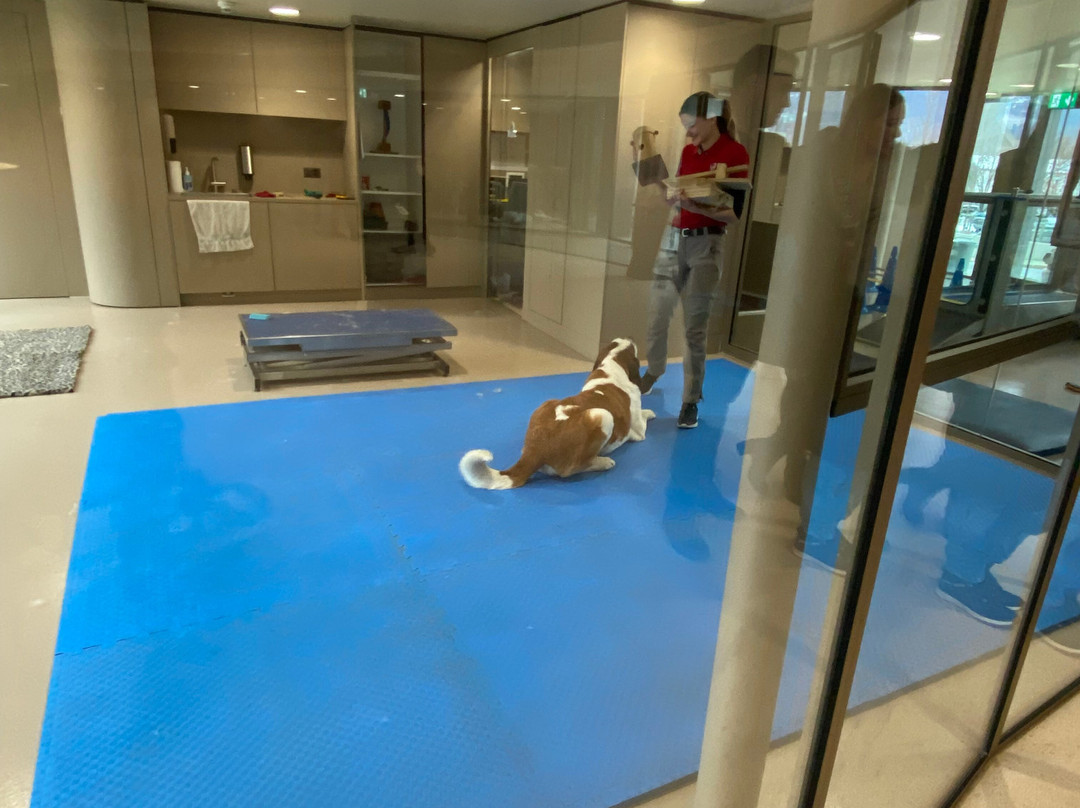 Barryland - Musée et chiens du St-Bernard-马蒂尼必去景点