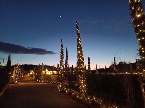 托恰诺韦基奥阿索罗酒店主图