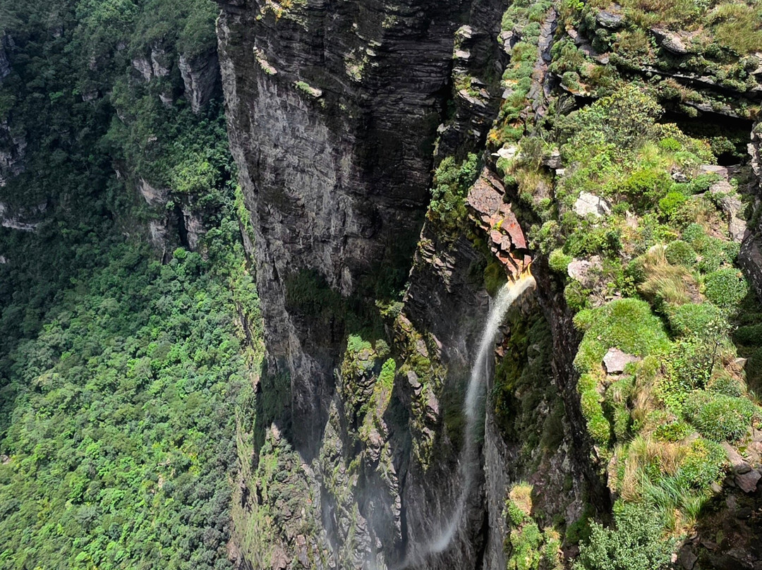 Alta Vista Ecoturismo-雷恩克斯必去景点