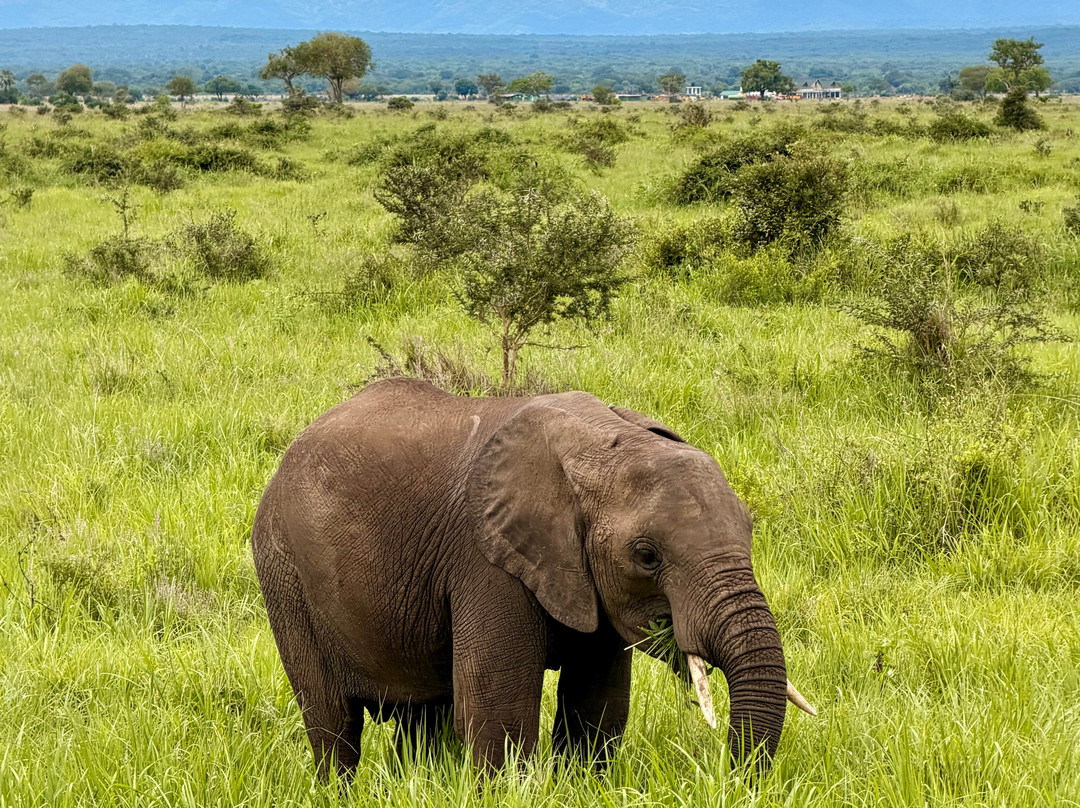 Nesa Africa Safaris Limited-Dar es Salaam必去景点