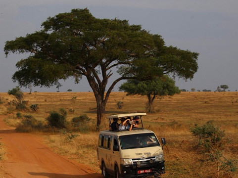 Northern Nature Safaris-Gulu必去景点