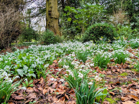 戈尔兹伯勒豪尔酒店主图