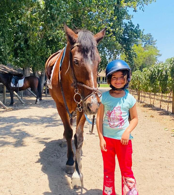 Cabalgatas Y Club Ecuestre Santa Cruz-圣克鲁斯必去景点