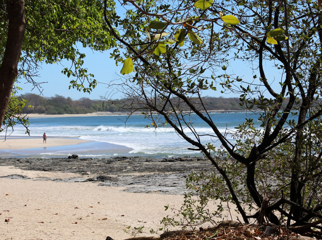 Playa Langosta-Playa Langosta必去景点