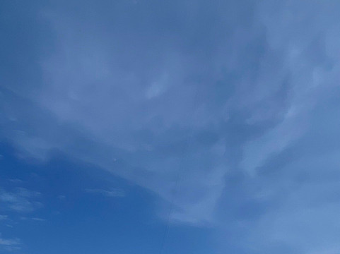 Coconuts Kite Zanzibar-江比阿尼必去景点