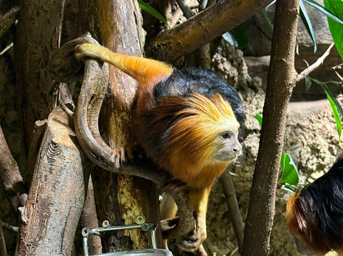 Tropikariet-赫尔辛堡必去景点