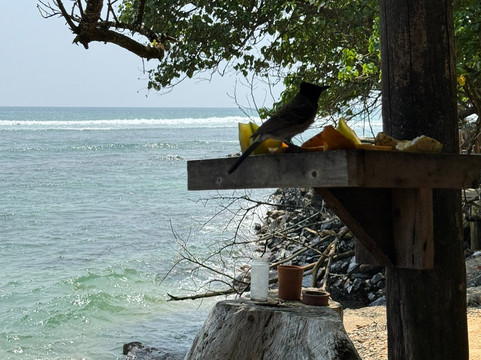 Turtle Bay Activities-瓦勒迦玛必去景点