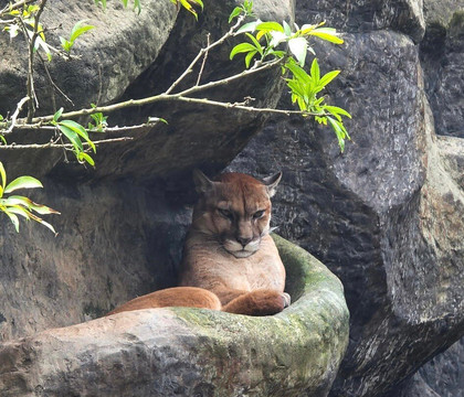 Greenway Nature Day Tours-利蒙港必去景点