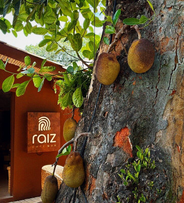 Raiz Café e Bar