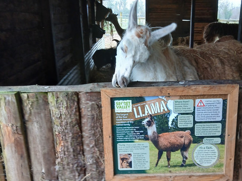 Secret Valley Wildlife Park-韦克斯福德必去景点