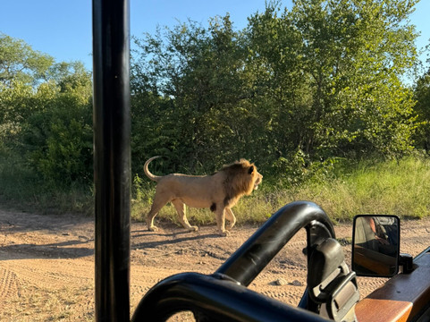 Karongwe Private Reserve-霍德斯普鲁特必去景点