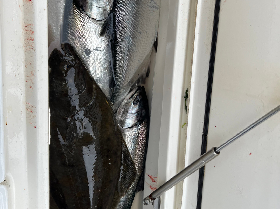 Virago Sound Sportfishing-Masset必去景点