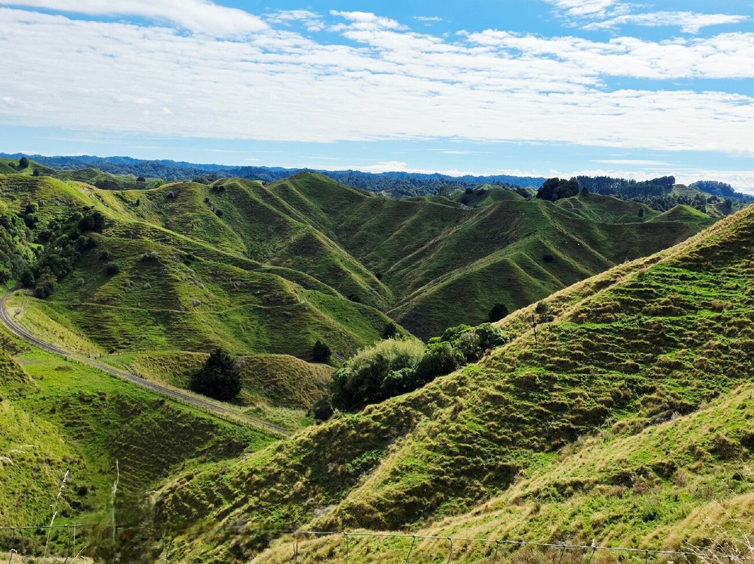 Forgotten World Highway-斯特拉特福必去景点