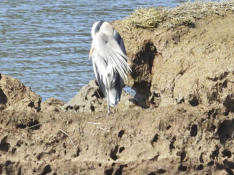 尼斯阔利国家野生动物保护区-奥林匹亚必去景点