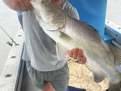 Paradise Sport Fishing Adventures-凯恩斯必去景点