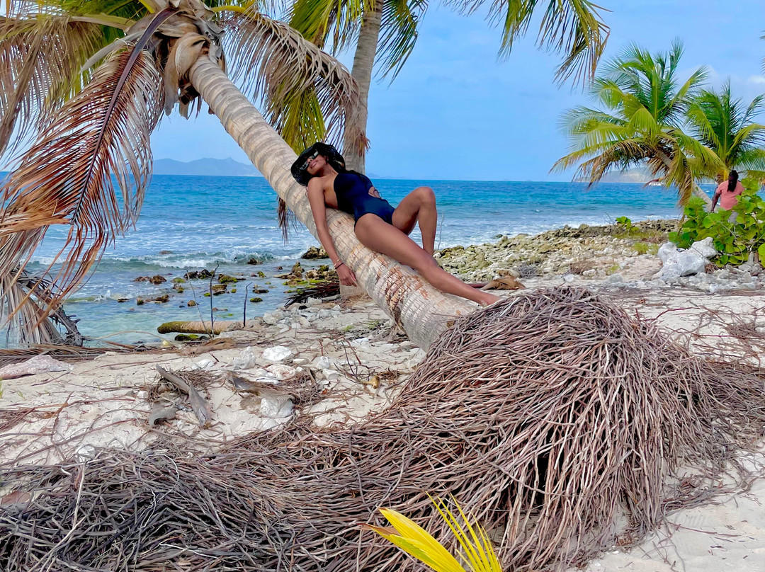 Froggy's Reef Tours and Snorkeling Carriacou-Carriacou Island必去景点