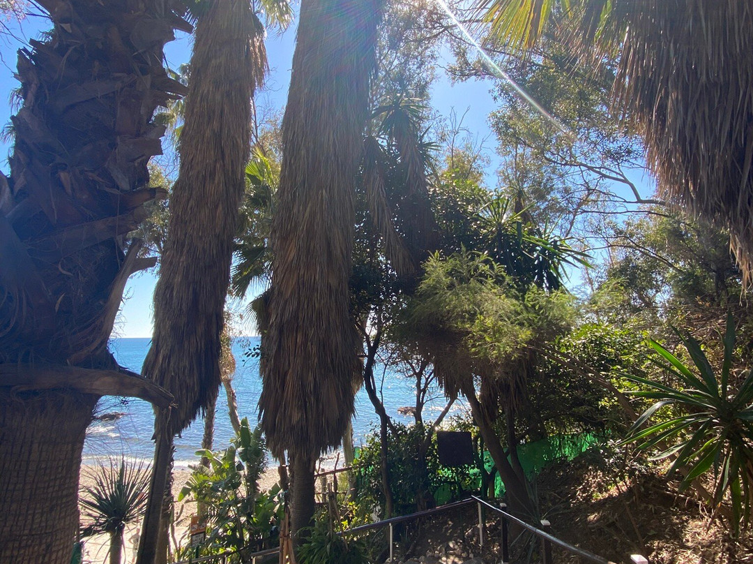 Playa de Benalnatura-班纳玛德纳必去景点