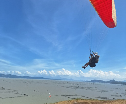 High 5 Paragliding-Carmona必去景点
