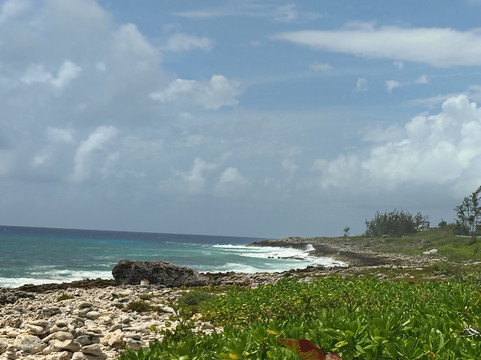 Joe Tourist Outdoor Adventures-乔治城必去景点