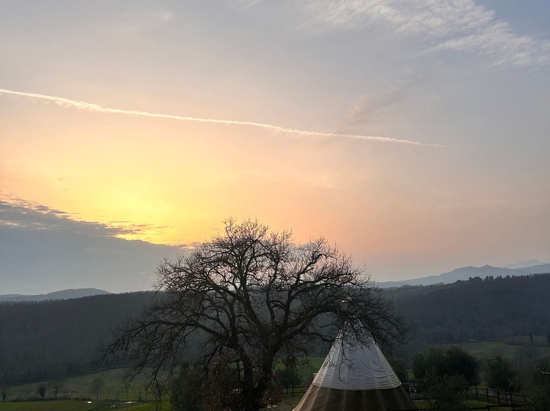 Glamping il Sole主图