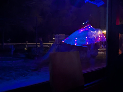 Blazin' M Ranch-Cottonwood必去景点