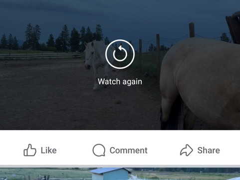 Spokane Trail Rides-斯波坎必去景点