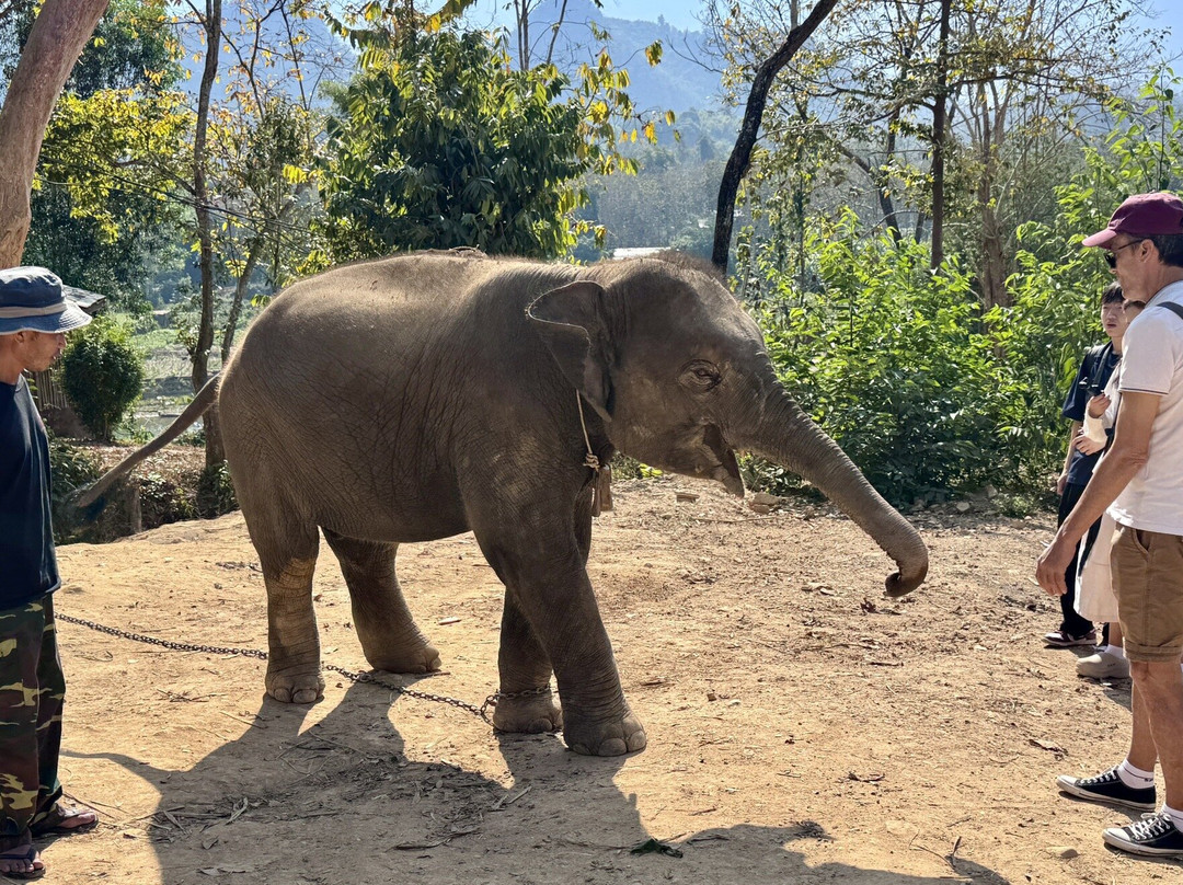 Odynovo-琅勃拉邦必去景点