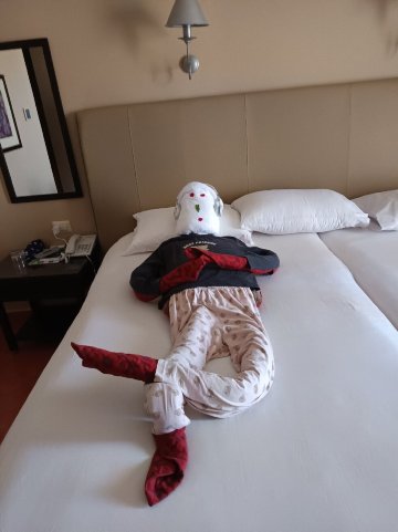 贾兹马卡迪纳-官方